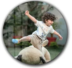 OUR_COLLECTIONS_WALL_DECOR__SNAPTRAP