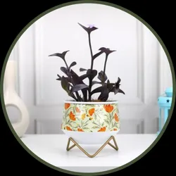 CATEGORY_METAL_PLANTERS__EXALT