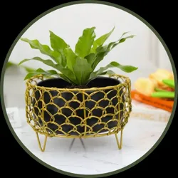 CATEGORY_OTHER_ACCESSORIES__EXALT
