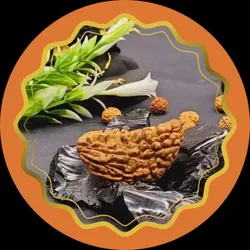 SHOP_BY_CATEGORY__RUDRAKSHA_ITEMS__Rudra Dhara