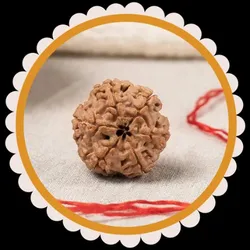 BRAND_CATEGORY_RUDRAKSHA__Dharmik Stone