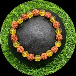 BRAND_CATEGORY_RUDRAKSHA__BALAJI GEMS BHOPAL