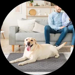 OUR_SPECIALTY_DOGS_BEDS__unique pet collection