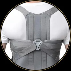 OUR_SPECIALTY_BACK_SUPPORT__Eder Care