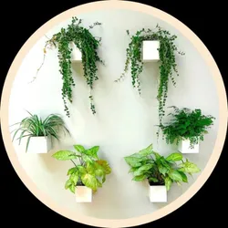 OUR_COLLECTIONS_GARDEN_DECOR__Akifi Craft
