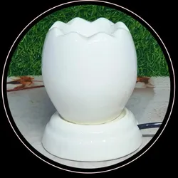 OUR_SPECIALTY__HOME_IMPROVMENT__BRILLS