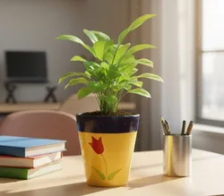 OUR_SPECIALTY__HOME_DECOR__BRILLS