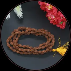 BRAND_CATEGORY_RUDRAKSHA_MALA___RudraKedar