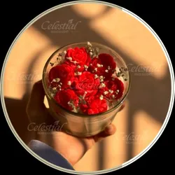 BRAND_CATEGORY_BEST_SELLERS__Celestial
