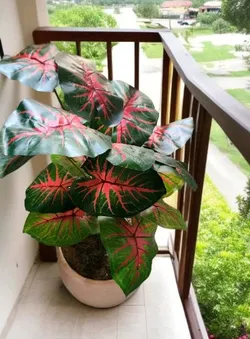 OUR_COLLECTIONS_ARTIFICIAL_PLANTS__House of Dhaarna
