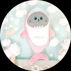 OUR_COLLECTIONS_PLUSH_PILLOWS__Teddyera