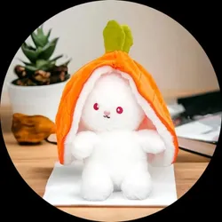 OUR_COLLECTIONS_SOFT_TOYS__Teddyera