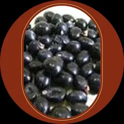 OUR_SPECIALTY__GEMS_AND_JEWELLERY__kesar zems