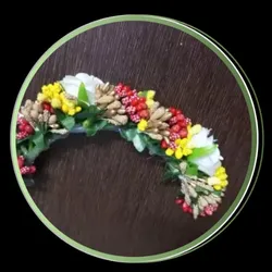 OUR_COLLECTIONS_HAIR_ACCESSORIES__GiftZoo