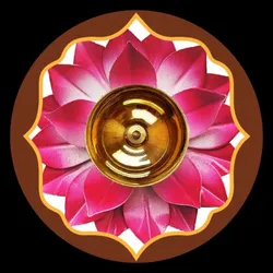 OUR_COLLECTIONS_PUJA_PRODUCTS__Swaha