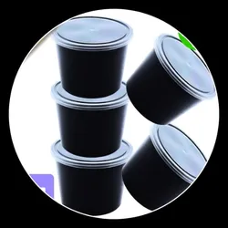 BRAND_CATEGORY_FOOD_CONTAINER__Sami Studios