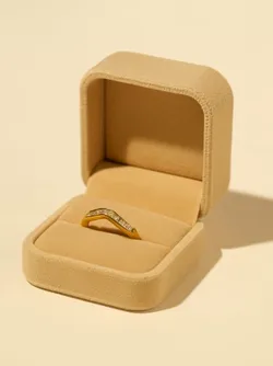 OUR_COLLECTIONS_THE_PREMIUM_EDIT__Raasrani