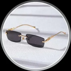 OUR_COLLECTION_SUNGLASSES__Dyana Core