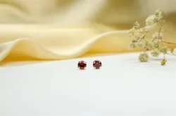 OUR_COLLECTION_SILVER_EARRINGS__Baneshwari Jewels