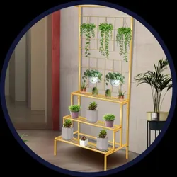 BRAND_CATEGORY_HOUSE_HOLD__Swingish