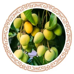 OUR_COLLECTIONS_PLANTS__Like Green