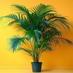 TRENDING_PLANTS_NEW_ARRIVALS__PLANT GALAXY