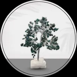 BRAND_CATEGORY_TREE__Anikass