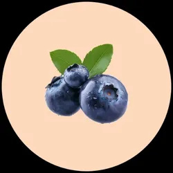 OUR_SPECIALTY___FRUIT_PLANTS__Baganwala