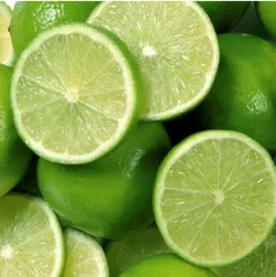 OUR_COLLECTION_LEMON_PLANTS__Baganwala