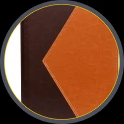 SHOP_BY_CATEGORY_FILE_FOLDER__ZesTale