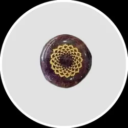 OUR_SPECIALTY_BY_CHAKRA__Leo Viedik House