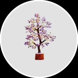 OUR_SPECIALTY_BY_CRYSTAL__Leo Viedik House