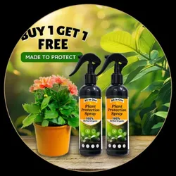 OUR_COLLECTIONS_PLANT_SEEDS__Cleanify