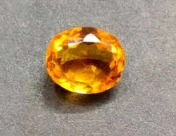 SHOP_BY_CATEGORY_GEMS__ Hari Rudraksh