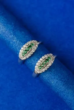 GET_PERFECT_PAIR__FOR_FESTIVALS___Toering Wala