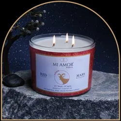 BRAND_CATEGORY_3_WICK_CANDLES__MI AMOR PARIS