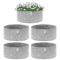 SHOP_BY_CATEGORY_GIFT__Anandigreens