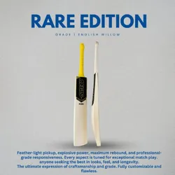 SHOP_BY_CATEGORY_CRICKET_BAT__Aegis Cricket