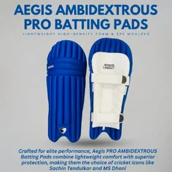 SHOP_BY_CATEGORY_BATTING_PADS__Aegis Cricket
