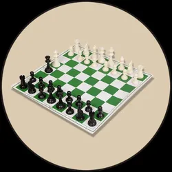 BRAND_CATEGORY_VINYL_ROLL_UP__BCBESTCHESS