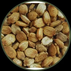 BRAND_CATEGORY_SEEDS__KRISTA NURSERY