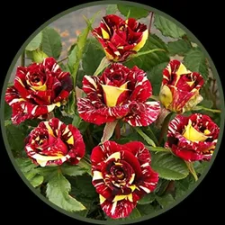 BRAND_CATEGORY_BEST_SELLERS__KRISTA NURSERY