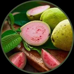 SHOP_BY_CATEGORY_TOP_SELLING__Green Bagicha (Bhai Bhai traders)