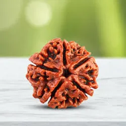 OUR_COLLECTIONS_Rudraksha_Items__The Soul Astro