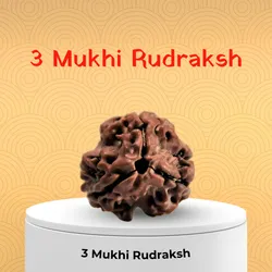SHOP_BY_CATEGORY_RUDRAKSH__Humarapandit