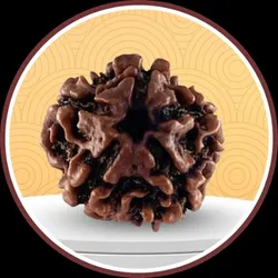 SHOP_BY_CATEGORY_RUDRAKSH__Humara Pandit