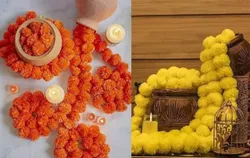 SHOP_BY_CATEGORY_DECORATIVE_HANGINGS__Tiny Shiny