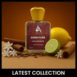 SHOP_BY_CATEGORY_LATEST_COLLECTION__Luxe Allure