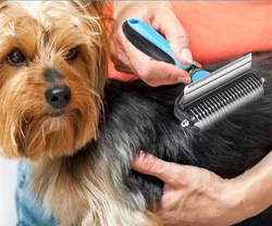 SHOP_BY_CATEGORY_Combs__Petwag