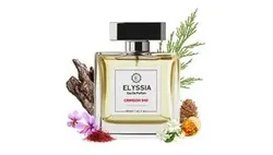 BRAND_CATEGORY_NEW_ARRIVALS__MISTRY ENTERPRISE